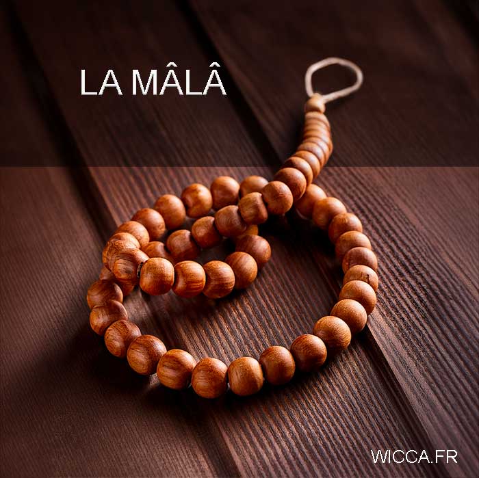 mala mala