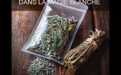 Utilisation de la sauge dans la Magie Blanche