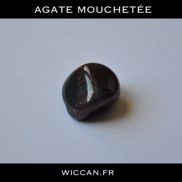 agate mouchetée