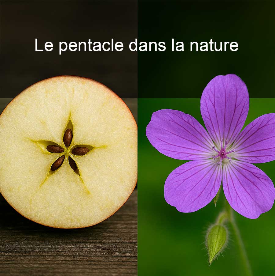 pentacle-dans-la-nature Pentacle dans la nature