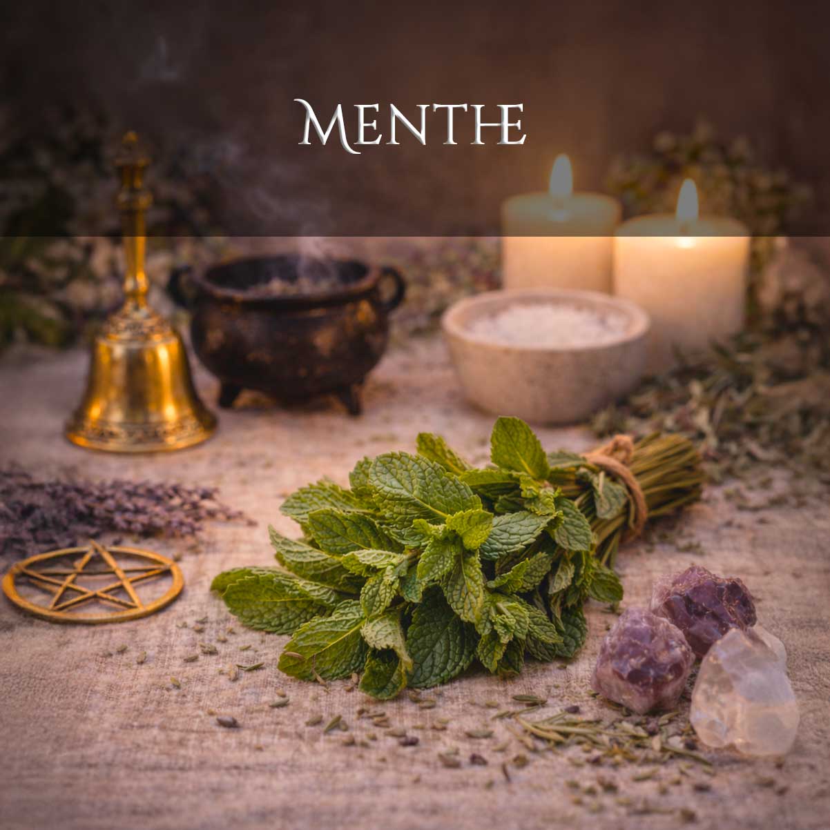Menthe