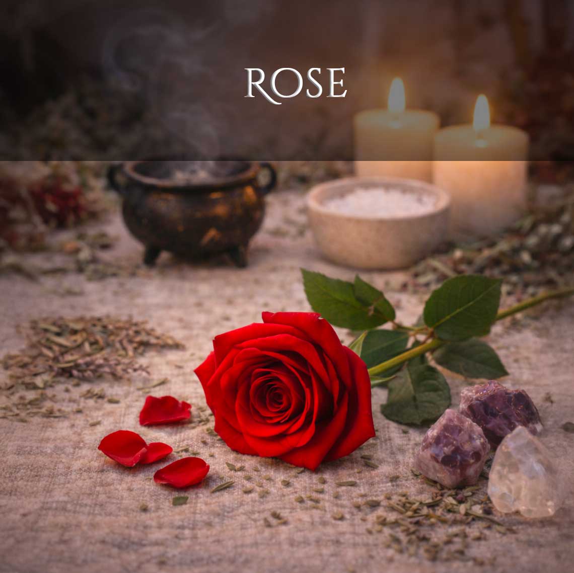 Rose en wicca
